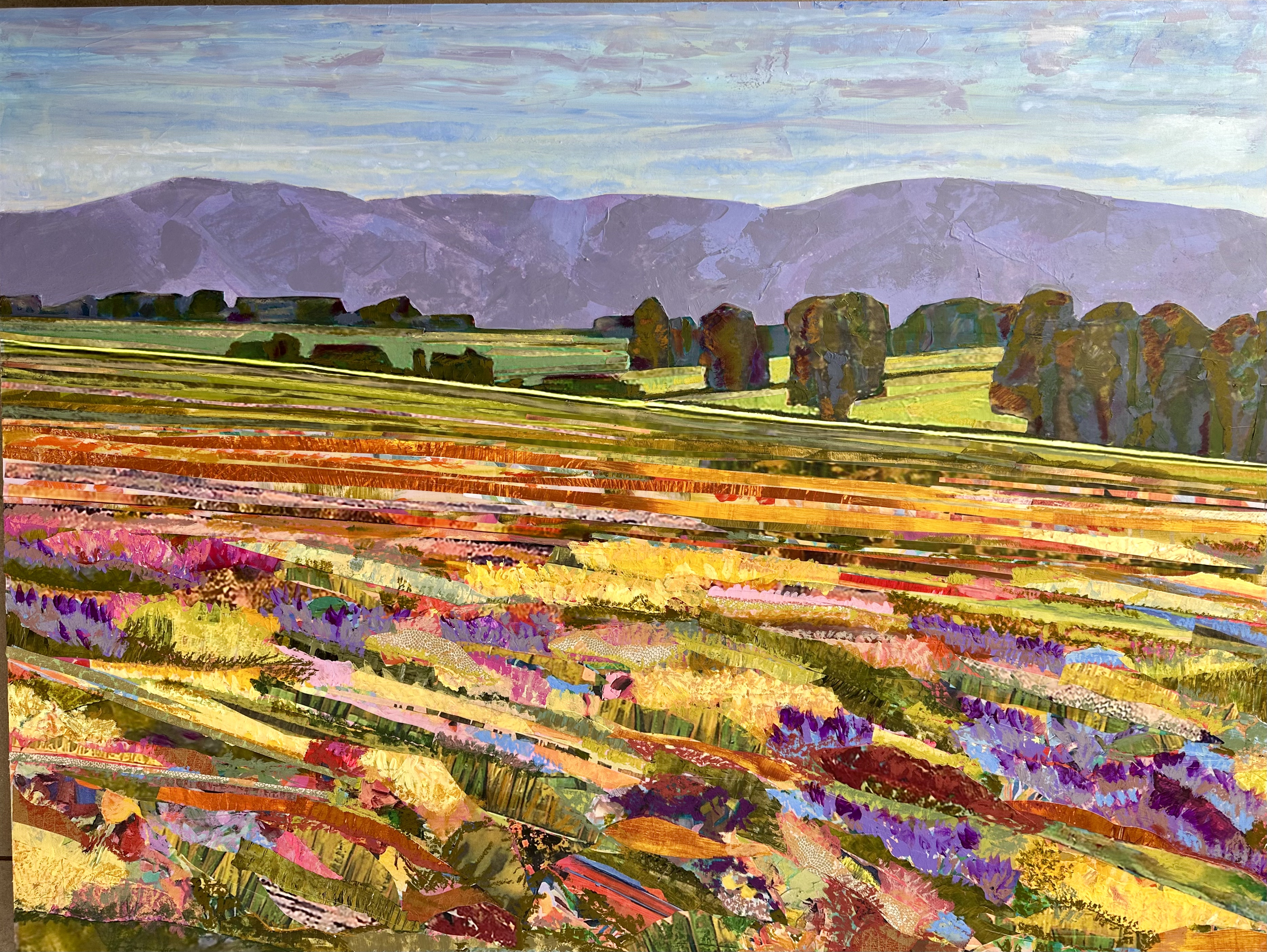 ErinBlundell KodachromeFields