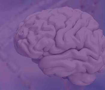 Brain